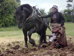 Horse Story - Lloyds Bank